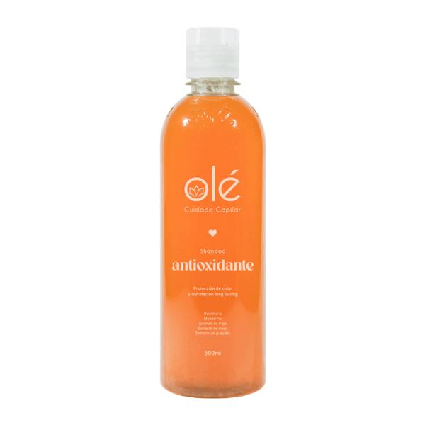Ole Capilar Shampoo Antioxidante Mix De Frutas