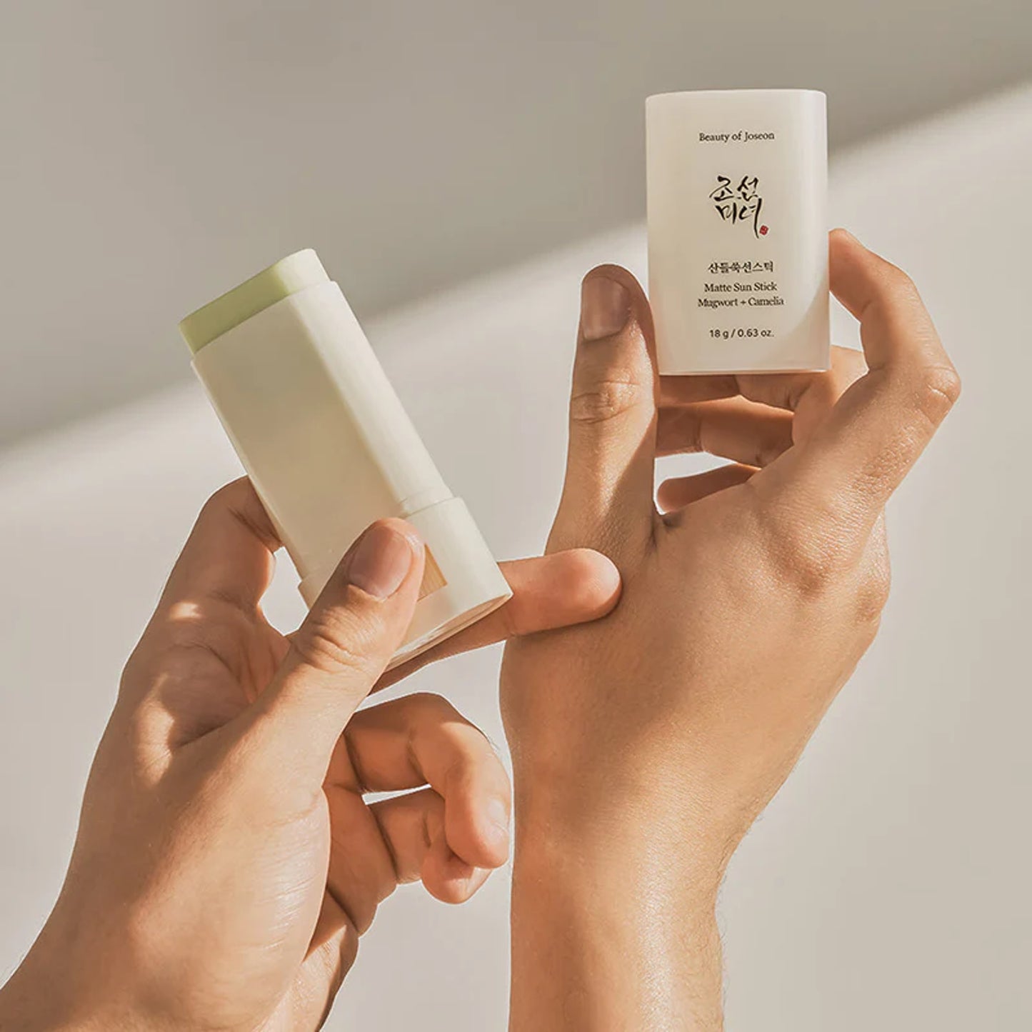 Beauty Of Joseon Matte Sun Stick : Mugwort + Camelia 18G