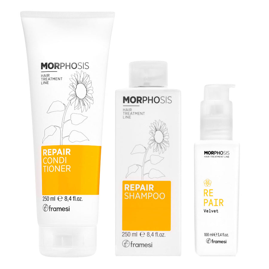 Framesi Morphosis Kit Repair