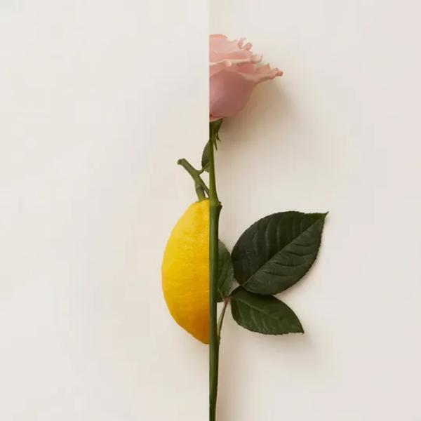 New notes rosa limone Extrait De Parfum 50ml