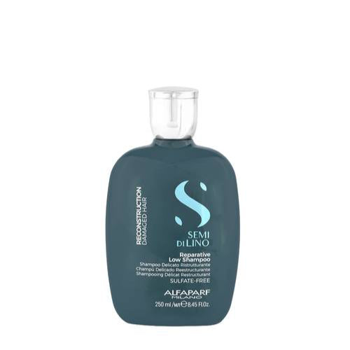 Alfaparf-reconstruction-shampoo-250-ml-1-1.jpg