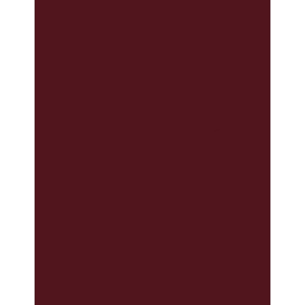 ausente_color-400x518-1-1.jpg