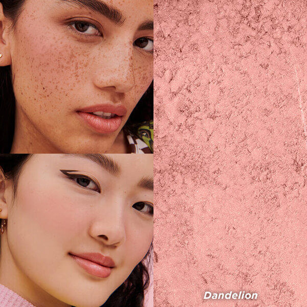 wanderful-world-silky-soft-powder-blush-2